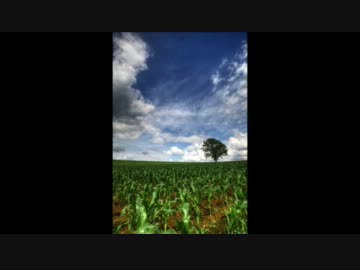 北海道2011ぶらり旅