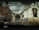 南極から降臨した白クマMW3 part19