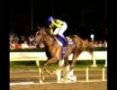 チャンピオンジョッキー★Champion Jockey☆　実況　１６Ｒ　企画編
