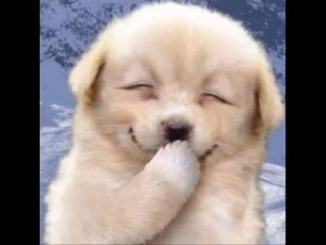 【絶対に聴いたことのある】 探してたあの曲集 Vol.6 【洋楽】