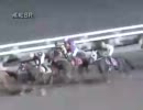 セニョールベストの298戦目(2012年1月22日高知競馬第8R)