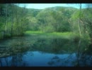 flow of nature 【オリジナル曲】