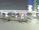 タマノジョケツの290戦目(2012年1月22日高知競馬第11R)