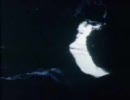 The Killing Moon/Echo ＆ The Bunnymen