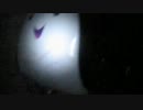 Xiu Xiu - Hi [OFFICIAL MUSIC VIDEO]