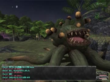 【FF11】主観視点（画質テスト②）