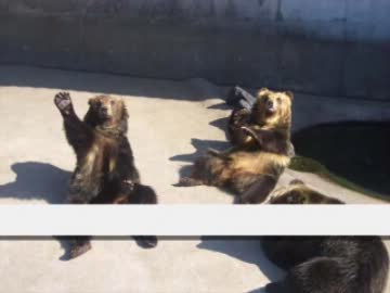 三十路前にバイクで九州を走りたい no3