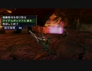 【MHP3】ガンキン亜種を自由に狩りに行ってみた【実況】