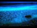 チョロQ２、３　お気に入りBGM集　part1