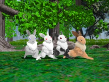 うさぎさん4匹で『ポーカーフェイス』