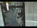 爽風ちゃんが撮る風景～Part3～