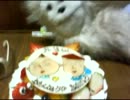 アセルス放映部　妹の誕生日配信永沢，藤木ケーキつき