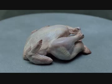 Chicken vs Dokken