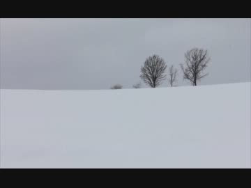 最北端で年越しを【３】美瑛