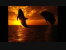 【Dolphin】私的試聴用BGM402【Love】