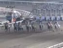 セニョールベストの299戦目(2012年1月28日高知競馬第8R)