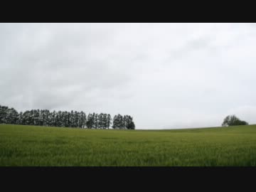 【雨天】熊カレーの北海道ツーリング【苦行】第4話富良野美瑛消えた青空