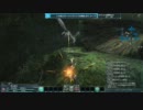 【PSO2】頭が抜けなくなった わんわんお【α2テスト】