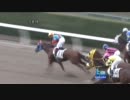 4歳上500万（牝）_トロンプルイユ