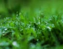 ヌナ→【】　rain stops, good-bye　を歌っていた