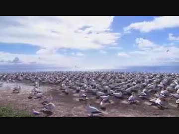 キヨノ界の風景