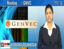 GenVec (GNVC) Extends Research Collaboration with Novartis