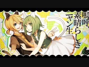 【烏夜×ナヅ】 嗚呼、素晴らしきニャン生【ナンパしてみた】