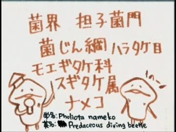 【100分間耐久】 んふんふんふんふ 【んふんふ　んふんふんふ！】