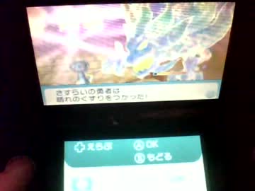 ニンテンドー3DS ～すれちがい伝説Ⅱ～ まったりプレイ最終回