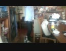 猫　vs　i Phone 充電器.m4v