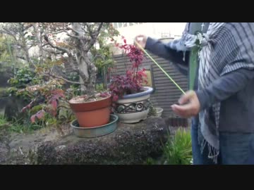 【ヨーヨー】Garden【ピクチャークリップ】