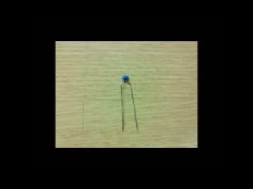 コンデンサーの違いによる音の比較