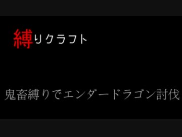 【Minecraft】縛りクラフト【肉声音】part4