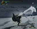 上位キリン火事場ハンマーソロ　Part２