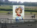 ニコニコ地方競馬展望 2012/2/1(園田＆名古屋)