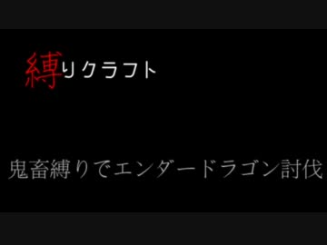【Minecraft】縛りクラフト【肉声音】part5