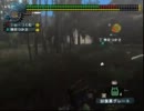 MHF　上位アビオルグの初見ハンマープレイ（ラスタペア）