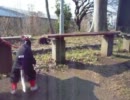 にゃんこさん に対しての、わんこの一方的な戦い（画質少しUP版）