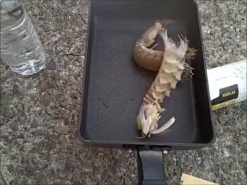 バイクもPCも初心者だけど車載動画を始めてみた Part.11-1