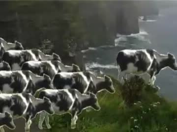 Cowwings