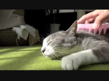 モアレとクリエ 「悶絶マッサージ」