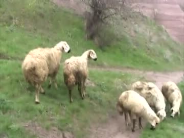 けつしゅう -中東/トルコ編⑤-３-