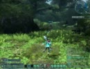 【ＰＳＯ２・α２】金曜日　１０/１３ 　クエスト巡回【火山＞森林