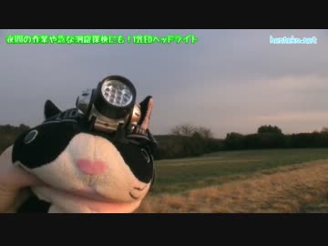 夜間の作業や急な洞窟探検にも!12LEDヘッドライト