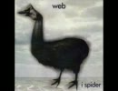 Web - Love You