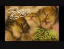 【しろと】Ｚｚｚ【歌ってみた】
