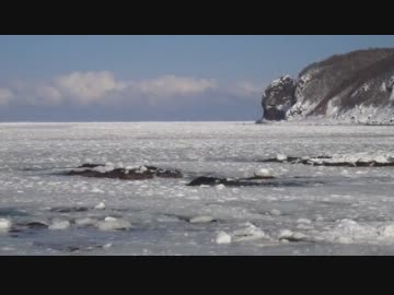 知床で流氷見たよ