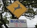 気のむくままに奈良県内ぶらついてみた-奈良公園周辺 前編