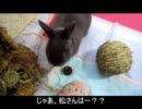 【第１１弾】　松さんで遊んでみた　