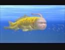 きもかわシーマンの育成記録【実況】　26.27日目